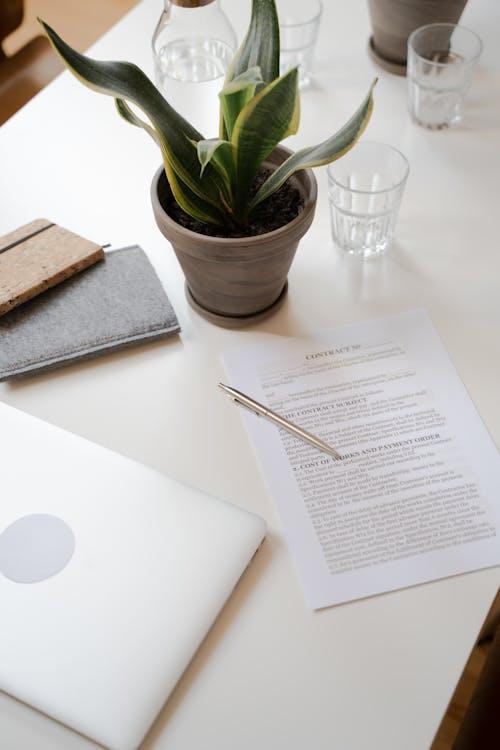 Pen resting on a notarized legal document beside a small potted plant on an office desk